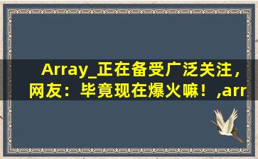 Array_正在备受广泛关注，网友：毕竟现在爆火嘛！,array是阴性阳性