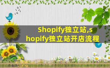 Shopify独立站,shopify独立站开店流程