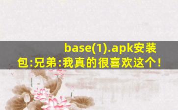 base(1).apk安装包:兄弟:我真的很喜欢这个！