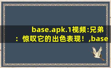 base.apk.1视频:兄弟：惊叹它的出色表现！,baseapk文件打不开