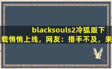 blacksouls2冷狐版下载悄悄上线，网友：措手不及，来迟了