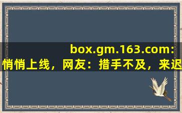 box.gm.163.com:悄悄上线，网友：措手不及，来迟了