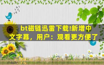 bt磁链迅雷下载!新增中文字幕，用户：观看更方便了