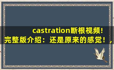 castration断根视频!完整版介绍：还是原来的感觉！,cbtcastration割蛋
