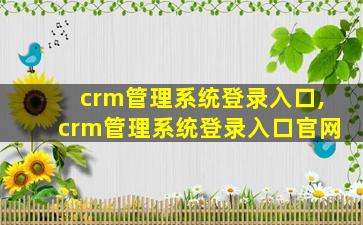 crm管理系统登录入口,crm管理系统登录入口官网