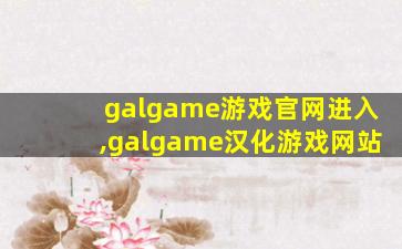 galgame游戏官网进入,galgame汉化游戏网站
