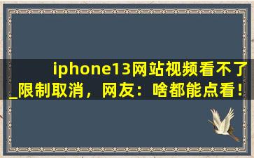 iphone13网站视频看不了_限制取消，网友：啥都能点看！,苹果13dfu模式怎么退出