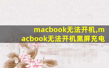 macbook无法开机,macbook无法开机黑屏充电