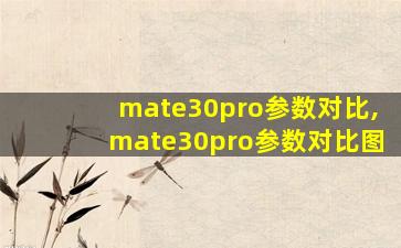 mate30pro参数对比,mate30pro参数对比图