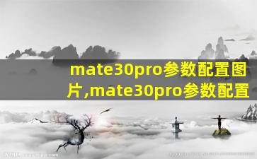 mate30pro参数配置图片,mate30pro参数配置