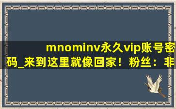 mnominv永久vip账号密码_来到这里就像回家！粉丝：非常的温暖！