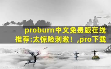 proburn中文免费版在线推荐:太惊险刺激！,pro下载