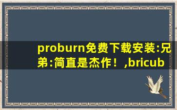 proburn免费下载安装:兄弟:简直是杰作！,bricube下载