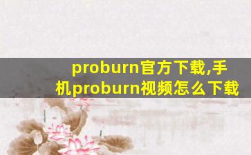 proburn官方下载,手机proburn视频怎么下载
