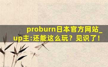 proburn日本官方网站_up主:还能这么玩？见识了！
