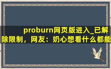 proburn网页版进入_已解除限制，网友：奶心想看什么都能实现！