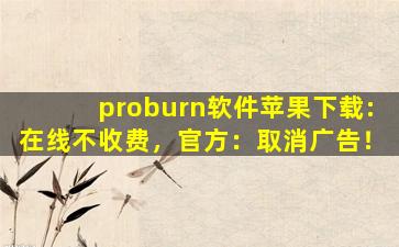 proburn软件苹果下载:在线不收费，官方：取消广告！