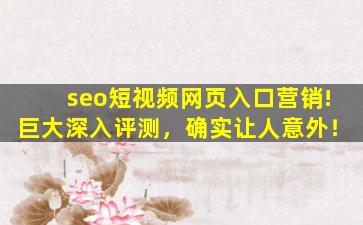 seo短视频网页入口营销!巨大深入评测，确实让人意外！