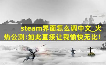 steam界面怎么调中文_火热公测:如此直接让我愉快无比！