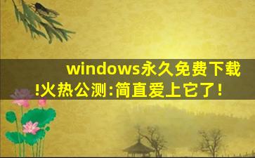 windows永久免费下载!火热公测:简直爱上它了！