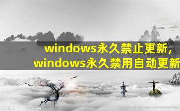 windows永久禁止更新,windows永久禁用自动更新