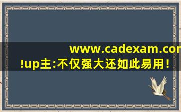 www.cadexam.com!up主:不仅强大还如此易用！,www开头的域名