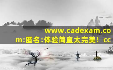 www.cadexam.com:匿名:体验简直太完美！cc