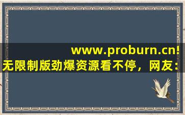 www.proburn.cn!无限制版劲爆资源看不停，网友：很适合夜间观看！