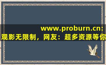 www.proburn.cn:观影无限制，网友：超多资源等你体验！,www开头的域名