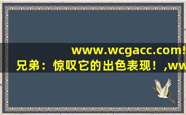 www.wcgacc.com!兄弟：惊叹它的出色表现！,www开头的域名