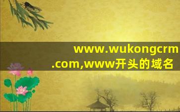 www.wukongcrm.com,www开头的域名