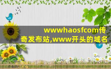 wwwhaosfcom传奇发布站,www开头的域名