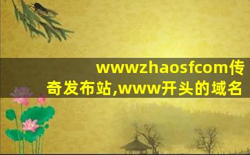 wwwzhaosfcom传奇发布站,www开头的域名