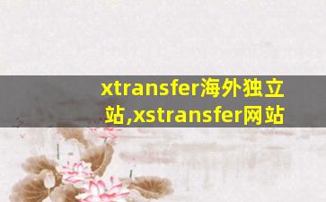 xtransfer海外独立站,xstransfer网站