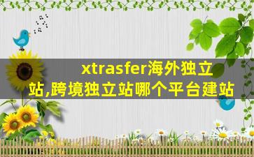 xtrasfer海外独立站,跨境独立站哪个平台建站