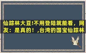 仙踪林大豆!不用登陆就能看，网友：是真的！,台湾的国宝仙踪林