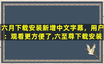 六月下载安装新增中文字幕，用户：观看更方便了,六至尊下载安装