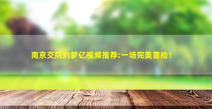 南京交院刘梦亿视频推荐:一场完美冒险！