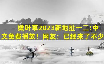 嫩叶草2023新地扯一二:中文免费播放！网友：已经来了不少