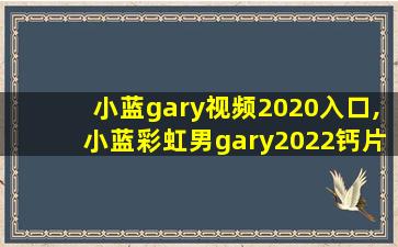 小蓝gary视频2020入口,小蓝彩虹男gary2022钙片