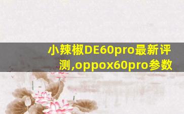 小辣椒DE60pro最新评测,oppox60pro参数