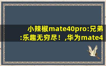 小辣椒mate40pro:兄弟:乐趣无穷尽！,华为mate40pro充电测评