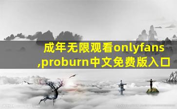 成年无限观看onlyfans,proburn中文免费版入口