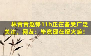 林青青赵铮11h正在备受广泛关注，网友：毕竟现在爆火嘛！