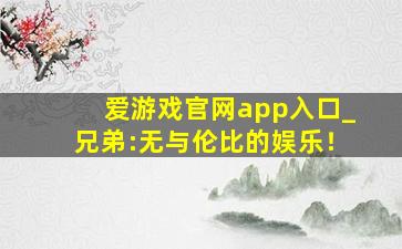 爱游戏官网app入口_兄弟:无与伦比的娱乐！