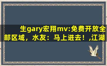 生gary宏翔mv:免费开放全部区域，水友：马上进去！,江湖大道mv