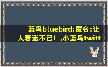 蓝鸟bluebird:匿名:让人着迷不已！,小蓝鸟twitter宏翔
