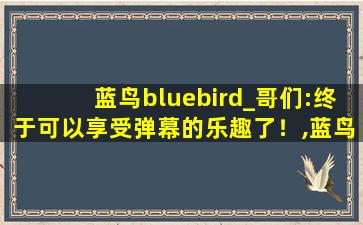 蓝鸟bluebird_哥们:终于可以享受弹幕的乐趣了！,蓝鸟zifmua