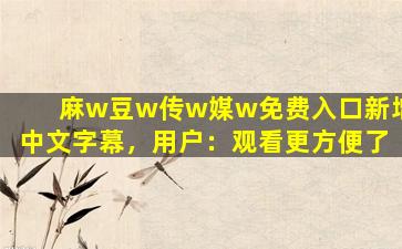 麻w豆w传w媒w免费入口新增中文字幕，用户：观看更方便了