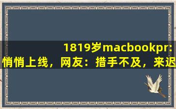1819岁macbookpr:悄悄上线，网友：措手不及，来迟了